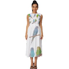 Parakeet T-shirtlots Of Colorful Parakeets - Cute Little Birds T-shirt Sleeveless Round Neck Midi Dress