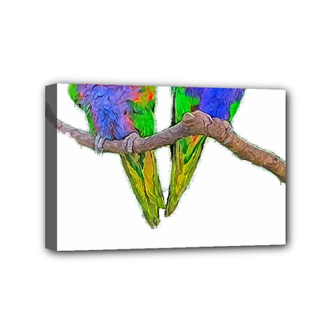 Parrots T-shirtcute Rainbow Loris - Lorikeet T-shirt Mini Canvas 6  X 4  (stretched) by EnriqueJohnson