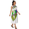 Parrots T-shirtcute Rainbow Loris - Lorikeet T-shirt Sleeveless Round Neck Midi Dress View3