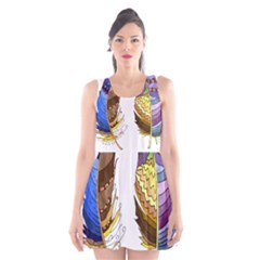 Feathers Design T- Shirtfeathers T- Shirt Scoop Neck Skater Dress