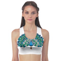 Peacock T-shirtwhite Look Calm Peacock 10 T-shirt Fitness Sports Bra by EnriqueJohnson