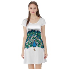 Peacock T-shirtwhite Look Calm Peacock 10 T-shirt Short Sleeve Skater Dress