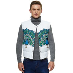 Peacock T-shirtwhite Look Calm Peacock 10 T-shirt Men s Button Up Puffer Vest	 by EnriqueJohnson