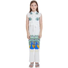 Peacock T-shirtwhite Look Calm Peacock 28 T-shirt (1) Kids  Sleeveless Ruffle Edge Band Collar Chiffon One Piece