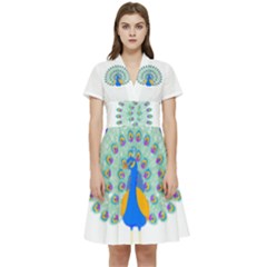 Peacock T-shirtwhite Look Calm Peacock 28 T-shirt (1) Short Sleeve Waist Detail Dress