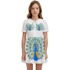 Peacock T-shirtwhite Look Calm Peacock 28 T-shirt (1) Kids  Sweet Collar Dress by EnriqueJohnson