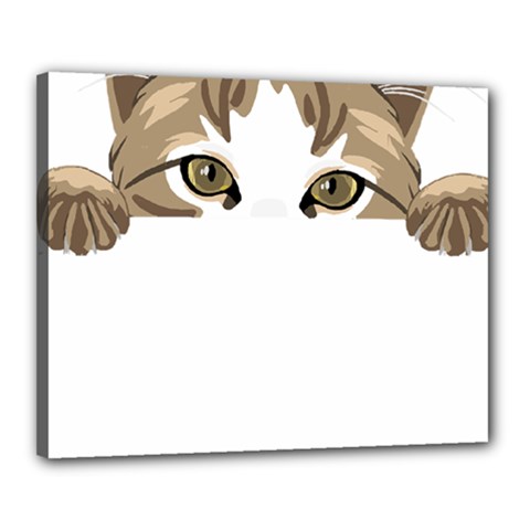 Peeking Cat T-shirtpeeking Cute Cat T-shirt Canvas 20  X 16  (stretched) by EnriqueJohnson