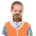 Pekingese T-shirtsteal Your Heart Pekingese 01 T-shirt Face Covering Bandana (Kids) View1