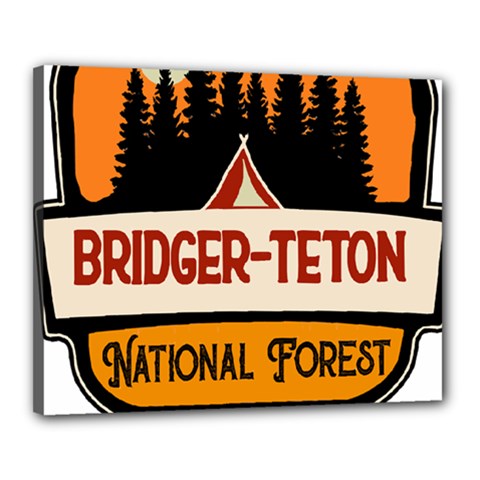 Bridger Teton T- Shirt Bridger Teton National Forest T- Shirt Canvas 20  X 16  (stretched) by JamesGoode