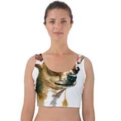 Brown Chihuahua T- Shirt Tan Brown Chihuahua Watercolor Portrait T- Shirt Velvet Crop Top by JamesGoode