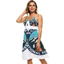 Buffalo Gap National Grassland T- Shirt Buffalo Gap National Grassland T- Shirt Sleeveless Tie Front Chiffon Dress View2