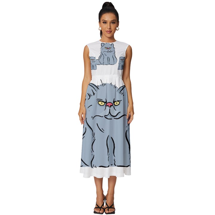 Persian Cat T-shirtwhite Look Calm Persian Cat 03 T-shirt (1) Sleeveless Round Neck Midi Dress