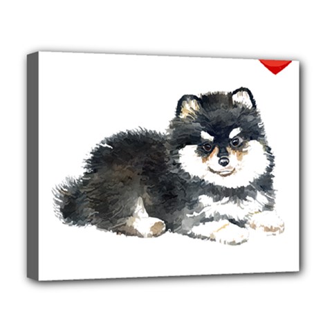 Pomeranian T-shirtsteal Your Heart Pomeranian 52 T-shirt Deluxe Canvas 20  X 16  (stretched) by EnriqueJohnson