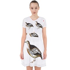 Quail T-shirtsteal Your Heart Quail 02 T-shirt Adorable In Chiffon Dress by EnriqueJohnson