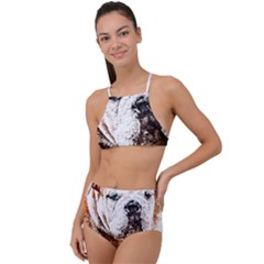 Bulldog T- Shirt English Bulldog Animal Wildlife Forest Nature Discovery Fauna T- Shirt Halter Tankini Set by JamesGoode