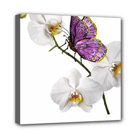 Butterfly Art T- Shirtbutterfly T- Shirt (2) Mini Canvas 8  x 8  (Stretched)