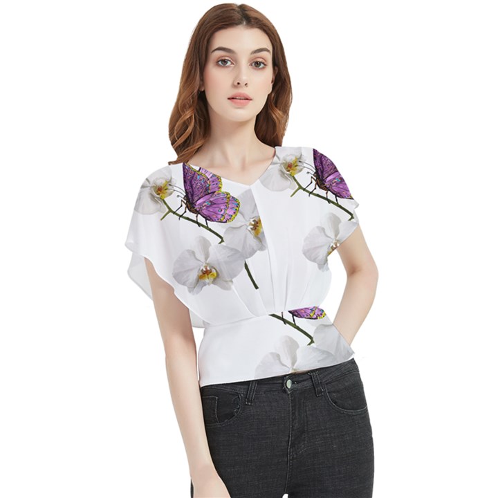 Butterfly Art T- Shirtbutterfly T- Shirt (2) Butterfly Chiffon Blouse