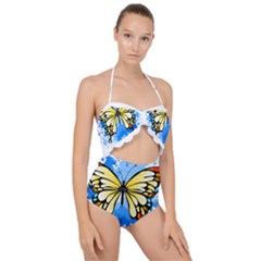 Butterfly Art T- Shirtbutterfly T- Shirt Scallop Top Cut Out Swimsuit by JamesGoode