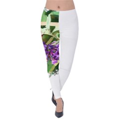 Butterfly T- Shirt Butterfly & Buddleia T- Shirt Velvet Leggings