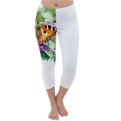 Butterfly T- Shirt Butterfly T- Shirt Capri Winter Leggings 