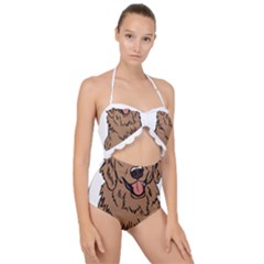 Golden Retriever T- Shirt A Golden Retriever T- Shirt Scallop Top Cut Out Swimsuit