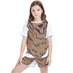 Golden Retriever T- Shirt A Golden Retriever T- Shirt Kids  T-shirt And Sports Shorts Set