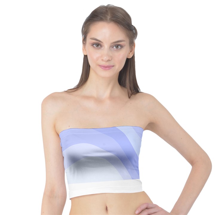 Blue Ridge Mountains T- Shirt Mountain Range T- Shirt Tube Top