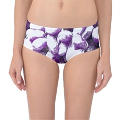 Grapes T- Shirt Purple Grapes Photo T- Shirt Mid-waist Bikini Bottoms by EnriqueJohnson