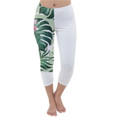 Hawaii T- Shirt Hawaii Jungle Creative T- Shirt Capri Winter Leggings 