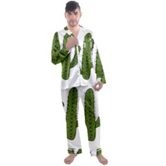 Cactus Desert Plants Rose Men s Long Sleeve Satin Pajamas Set by uniart180623