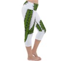 Cactus Desert Plants Rose Lightweight Velour Capri Yoga Leggings View3