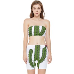 Cactus Desert Plants Rose Stretch Shorts And Tube Top Set by uniart180623