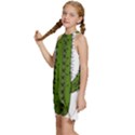 Cactus Desert Plants Rose Kids  Halter Collar Waist Tie Chiffon Dress View2