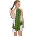 Cactus Desert Plants Rose Kids  Halter Collar Waist Tie Chiffon Dress View3