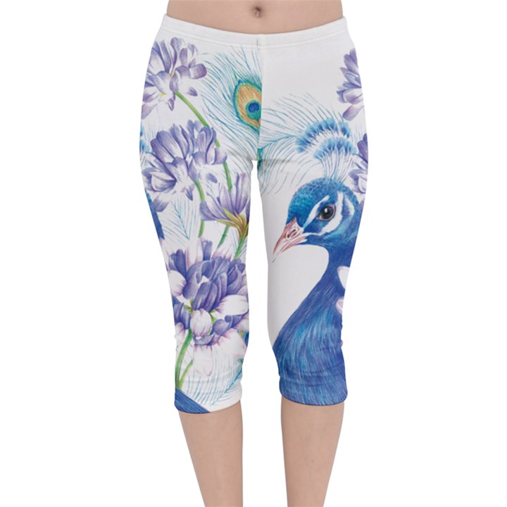 Peacock Velvet Capri Leggings 