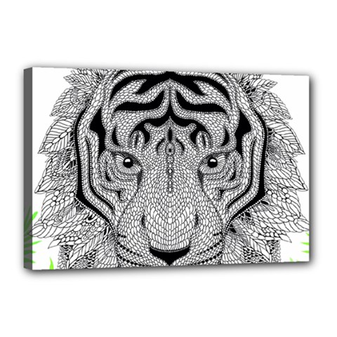 Tiger Head Canvas 18  X 12  (stretched) by Ket1n9