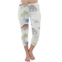 Dinosaur Art Pattern Capri Winter Leggings  View1