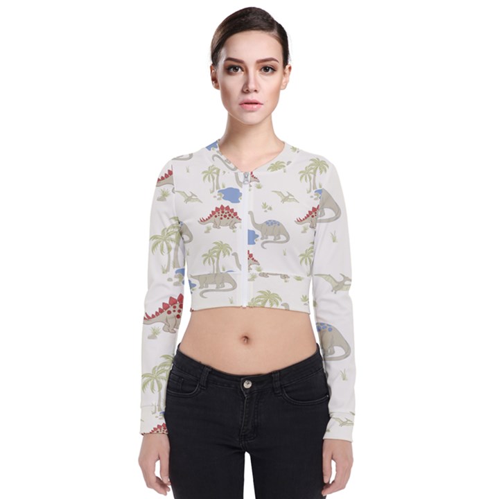 Dinosaur Art Pattern Long Sleeve Zip Up Bomber Jacket