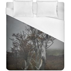 Nature s Resilience: Tierra Del Fuego Forest, Argentina Duvet Cover (california King Size) by dflcprintsclothing