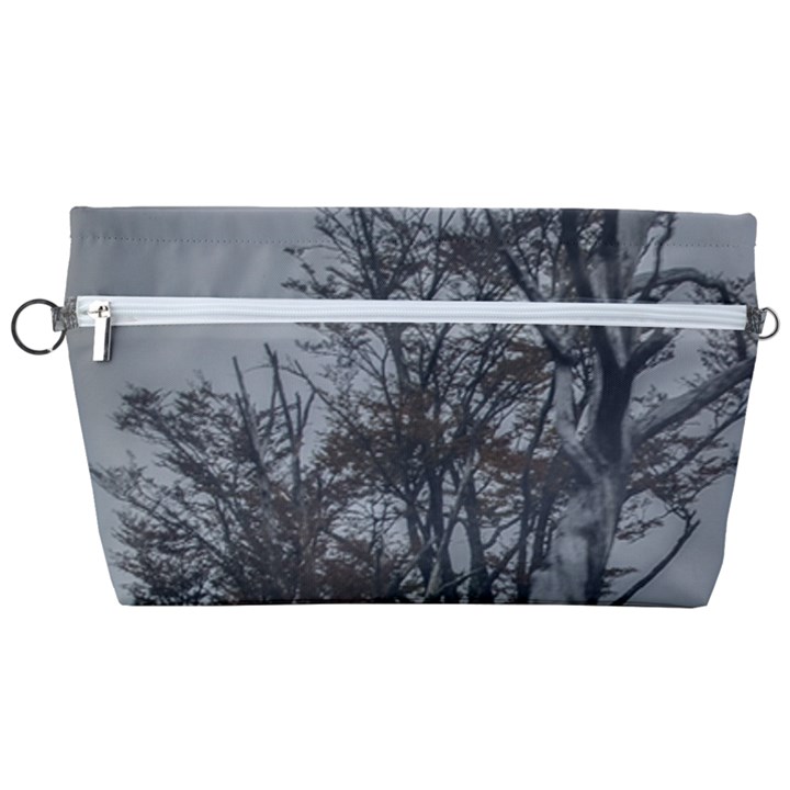 Nature s Resilience: Tierra del Fuego Forest, Argentina Handbag Organizer