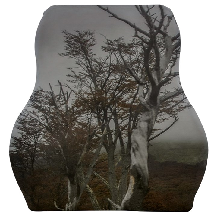 Nature s Resilience: Tierra del Fuego Forest, Argentina Car Seat Velour Cushion 