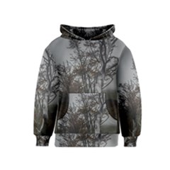 Nature s Resilience: Tierra Del Fuego Forest, Argentina Kids  Pullover Hoodie by dflcprintsclothing