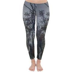 Nature s Resilience: Tierra Del Fuego Forest, Argentina Classic Winter Leggings by dflcprintsclothing