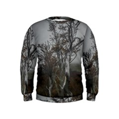 Nature s Resilience: Tierra Del Fuego Forest, Argentina Kids  Sweatshirt by dflcprintsclothing