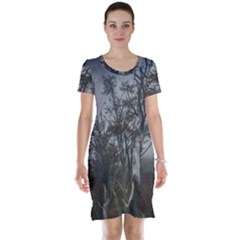 Nature s Resilience: Tierra Del Fuego Forest, Argentina Short Sleeve Nightdress by dflcprintsclothing