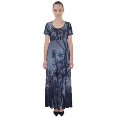 Nature s Resilience: Tierra Del Fuego Forest, Argentina High Waist Short Sleeve Maxi Dress by dflcprintsclothing