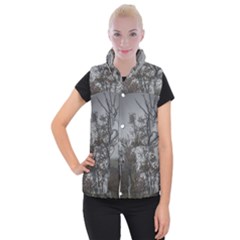 Nature s Resilience: Tierra Del Fuego Forest, Argentina Women s Button Up Vest