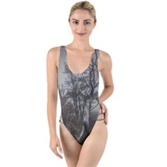 Nature s Resilience: Tierra Del Fuego Forest, Argentina High Leg Strappy Swimsuit