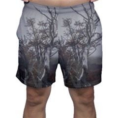 Nature s Resilience: Tierra Del Fuego Forest, Argentina Men s Shorts by dflcprintsclothing