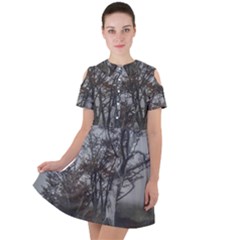 Nature s Resilience: Tierra Del Fuego Forest, Argentina Short Sleeve Shoulder Cut Out Dress  by dflcprintsclothing